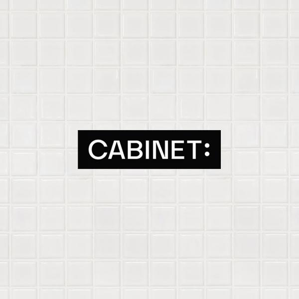 cabinet 04