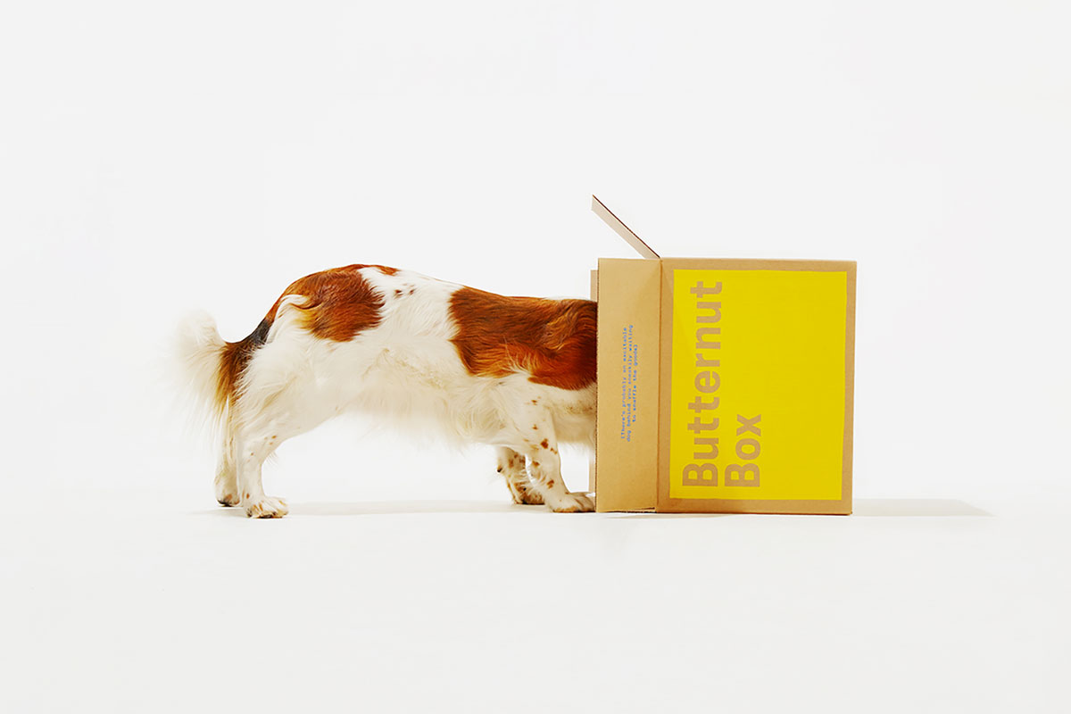 Butternut Box